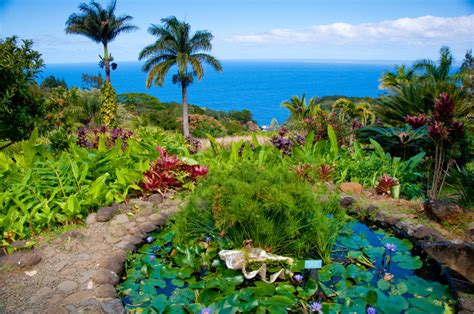 Garden Of Eden Botanical Arboretum A Paradise In Maui Hawaii Only