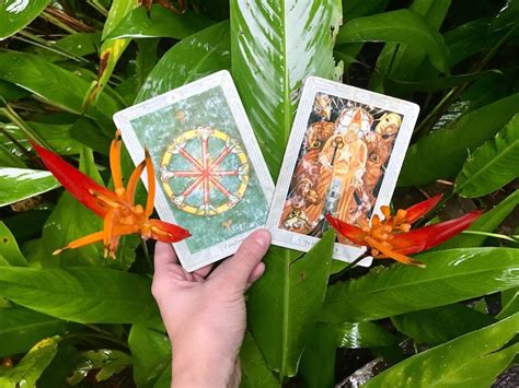 Nikkis Weekly Tarot Reading May 28 June 3 2018 Forever Conscious