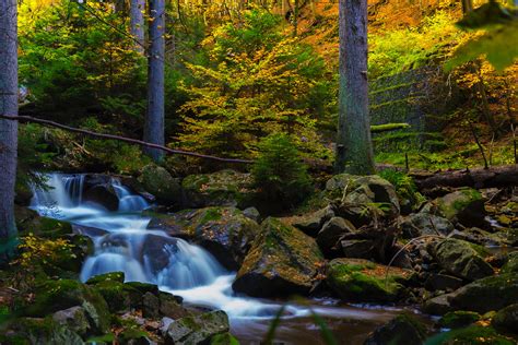 Timelapse Photography Of Falls Near Trees · Free Stock Photo