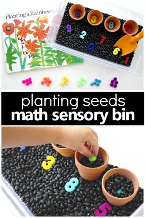 Counting Seeds Gardening Sensory Bin - Fantastic Fun & Learning