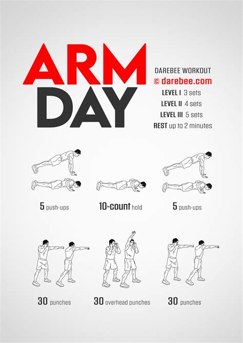 Easy Beginner Arm Workout