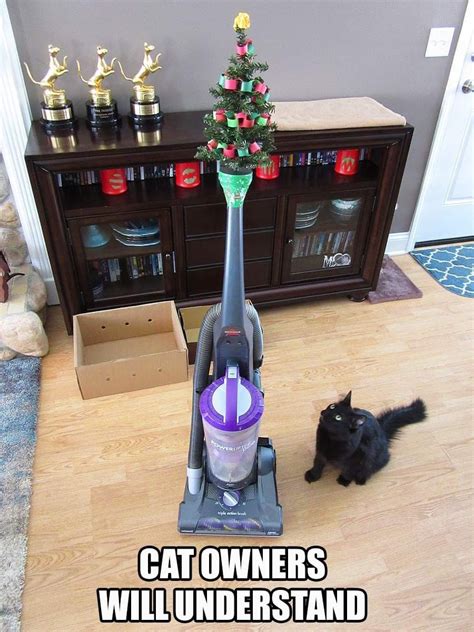Pin by Ellen Burch on funny feline | Cat proof christmas tree, Funny