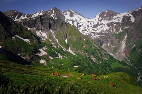 Austrian Alps 12 Top Hiking Destinations Moon And Honey Travel