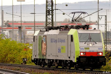 The i486 was introduced in 1989 and was the first tightly pipelined x86 design as well as the first x86 chip to use more than a million transistors. Re 486 504 Foto & Bild | eisenbahn, verkehr & fahrzeuge ...