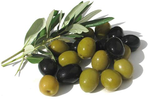 All You Need To Know Olive Oil Cru Cafe