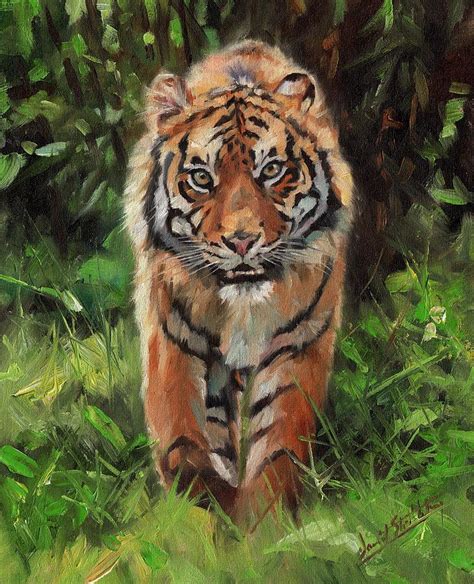 Tiger Out Of The Bush Painting By David Stribbling Fine Art America