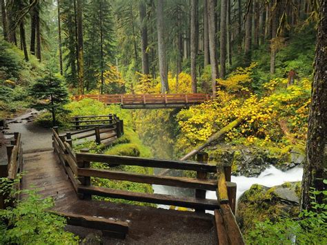 13 Best Hikes In Olympic National Park For All Levels Map