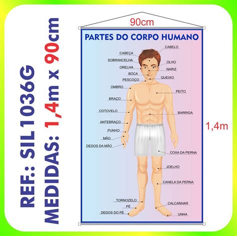 Banner Grande 14m Partes Do Corpo Humano Ciências Sil1036g