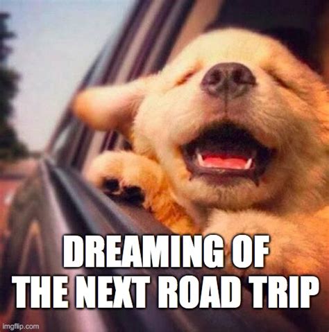 Road Trip Dreaming Imgflip