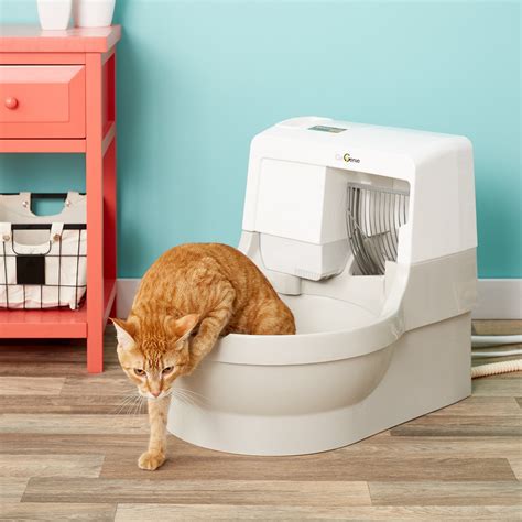 Cat Genie Automatic Self Cleaning Self Washing Litter Box Review