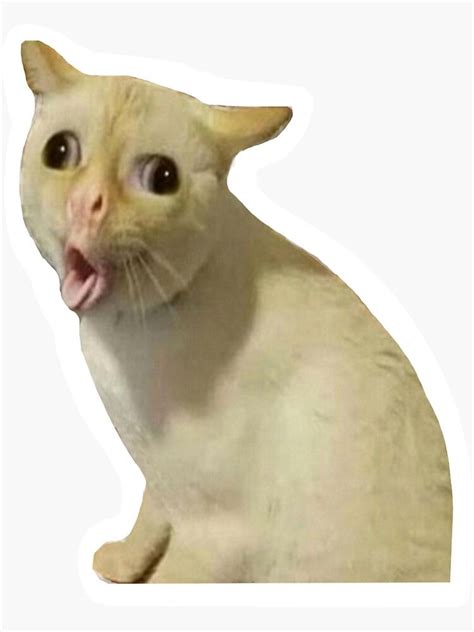 Coughing Cat Meme Sticker Sticker By Splendidart Redbubble Funny