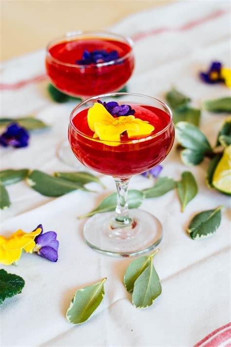 Look for hibiscus flowers tea. Hibiscus Gin Gimlet Cocktail Recipe with Hibiscus Tea ...