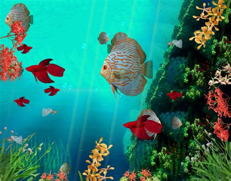 Moving Aquarium Wallpaper Wallpapersafari