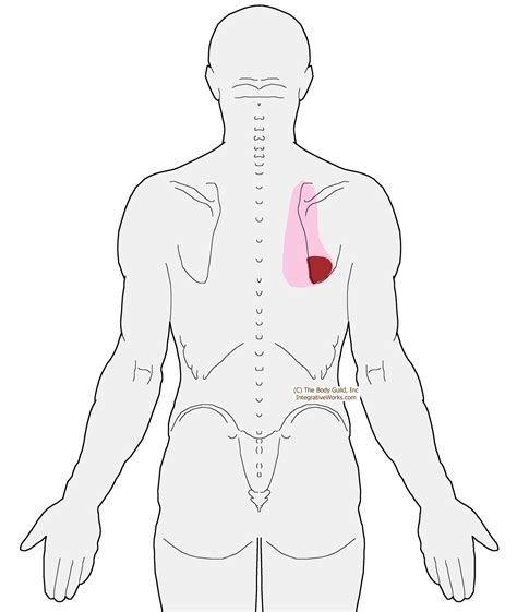 Learn all the causes and remedies. Pin on ASSESSMENTS AND MUSCLE TESTING
