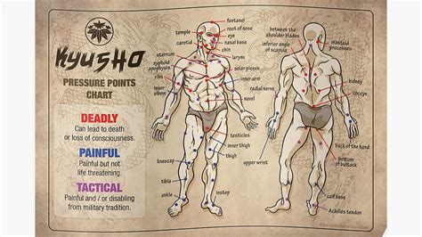Self Defence Pressure Point Chart