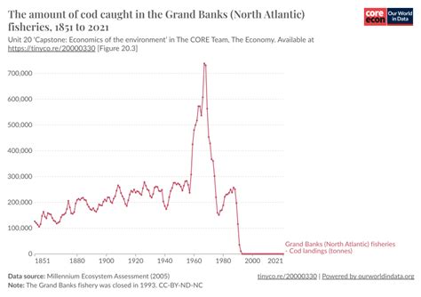 The Amount Of Cod Caught In The Grand Banks North Atlantic Fisheries