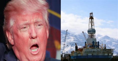 Trump Rages At Fake News Over Alaska Oil Drilling Gets Twitter