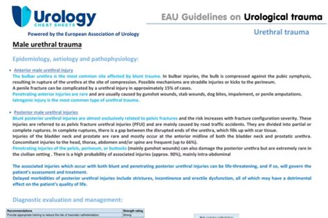 Eau Guidelines On Urological Trauma Uroweb