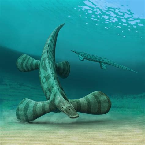 So I Just Discovered That This Very Bizarre Marine Reptile From The