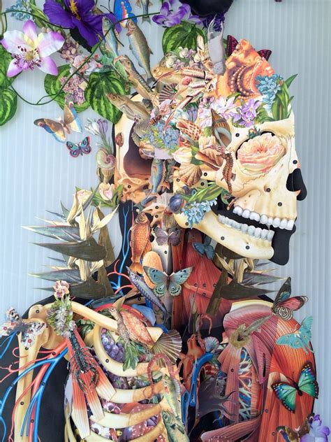 Whimsical Anatomical Collages Update Travis Bedel
