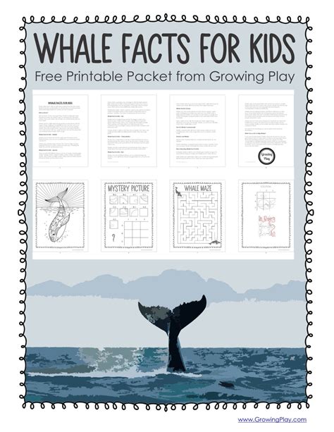 Whale Facts For Kids Growing Play