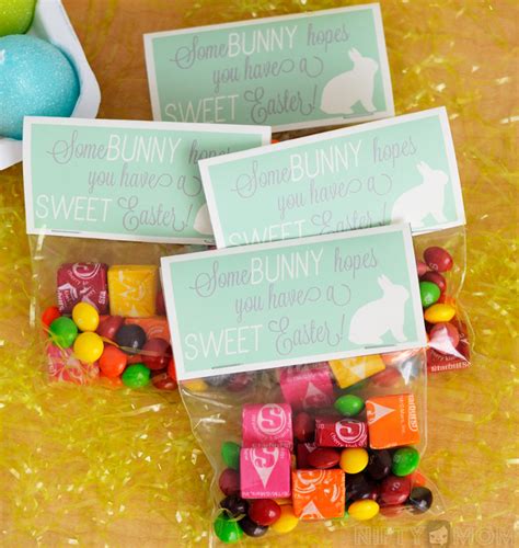2 Sweet Diy Easter T Ideas With Printable Tags