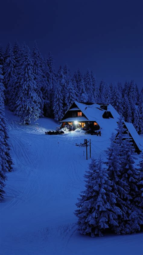 Download 480x854 Wallpaper House Night Winter Trees Snow Layer