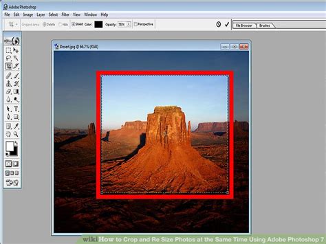 How do you crop an image in adobe photoshop? How to Crop and Re Size Photos at the Same Time Using ...