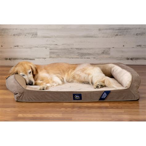 Serta Extra Large Quilted Gel Memory Foam Ortho Couch Pet Bed