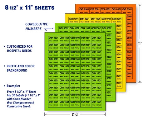 Consecutively Numbered Sheets Alcop Labels