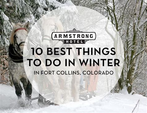 10 Best Things To Do In Fort Collins In The Winter The Armstrong
