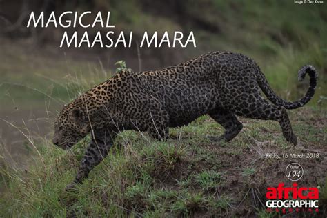 Magical Maasai Mara Africa Geographic