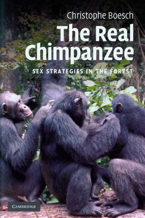 The Real Chimpanzee Sex Strategies In The Forest Nhbs Academic