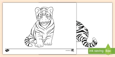 Free Baby Tiger Colouring Sheets Primary Resources Twinkl