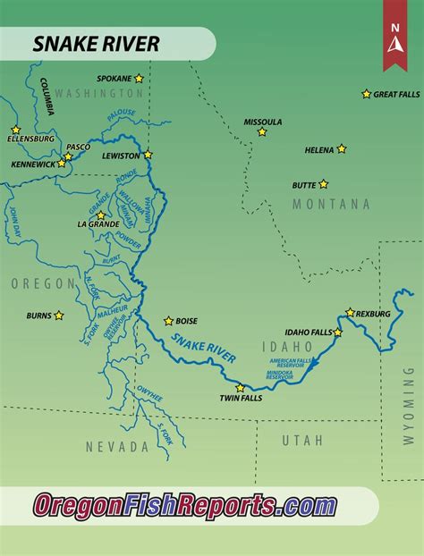 Snake River Fish Reports And Map