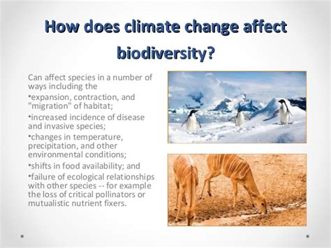 With a warming of 3 °c, relative to 1990 levels, it is likely that global terrestrial vegetation would become a net source of carbon (schneider et al., 2007:792). Impacts of climate change on wildlife A Presentation ByvMr ...