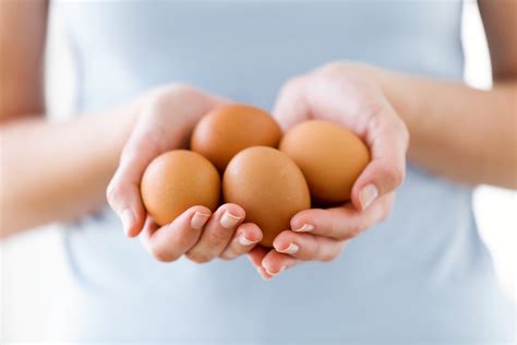 7 Jenis Telur Ayam Yang Ada Di Pasaran Dan Cara Memilihnya