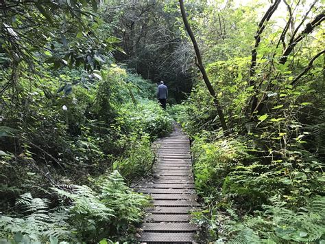 Lane Cove National Park Fairyland Loop Track Bitesize Traveller