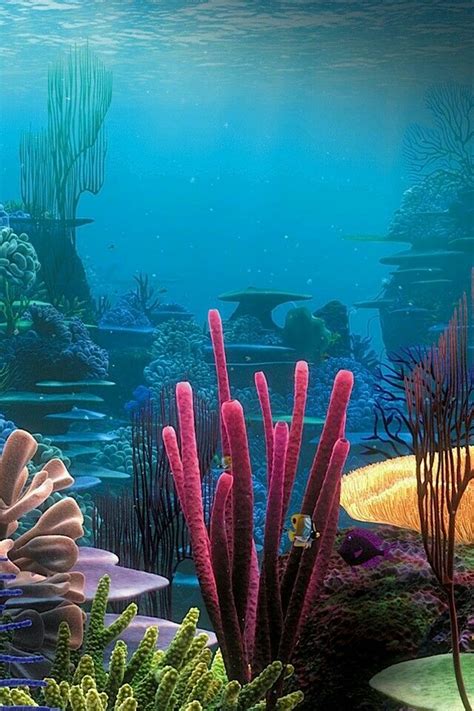 Finding Nemo Beautiful Sea Creatures Sea And Ocean Underwater World