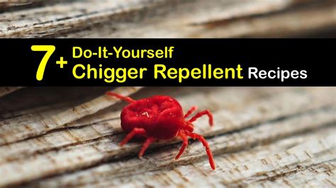 7 Do It Yourself Chigger Repellent Recipes