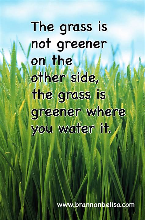 Water Your Grass Relationships Your Passions Your Helath Etc And
