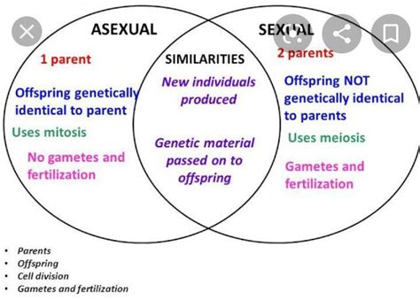 complete the venn diagram comparing and contrasting sexual and asexual reproduction using the
