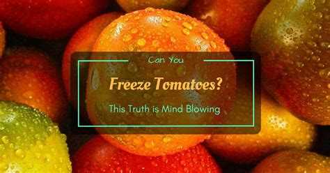 To freeze tomatoes without blanching, start by rinsing whole tomatoes and removing any stems. Can You Freeze Tomatoes? This Truth is Mind Blowing