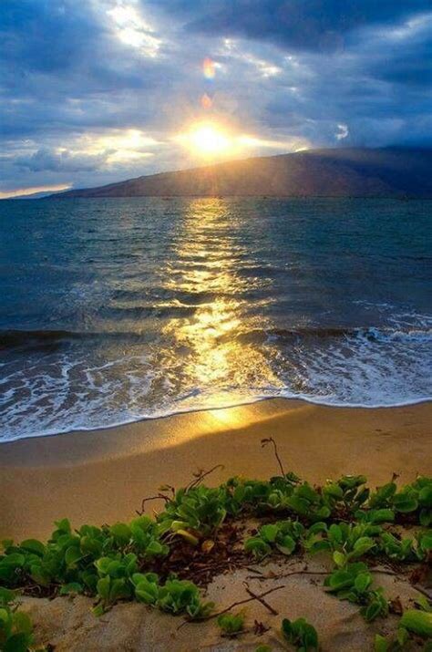 Maui Hawaii Beautiful Nature Beautiful Places Nature