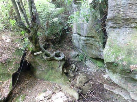 Kawiti Caves Kawakawa All You Need To Know Before You Go