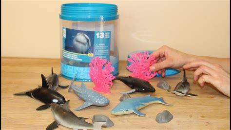 Animal Planet Sealife Bucket Toys R Us 🐹 Youtube