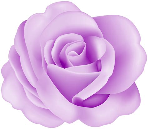 Purple flower , transparent painted large purple flower clipsrt, purple petaled flower png clipart. Flower Rose Purple Transparent Image | Gallery ...