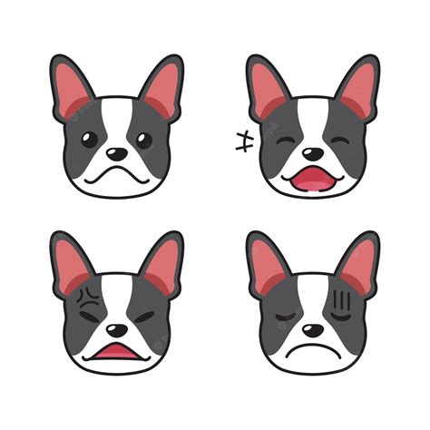 Premium Vector Set Of Boston Terrier Dog Faces Showing Different Emotions