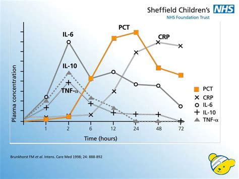 Ppt Procalcitonin Powerpoint Presentation Free Download Id2868470