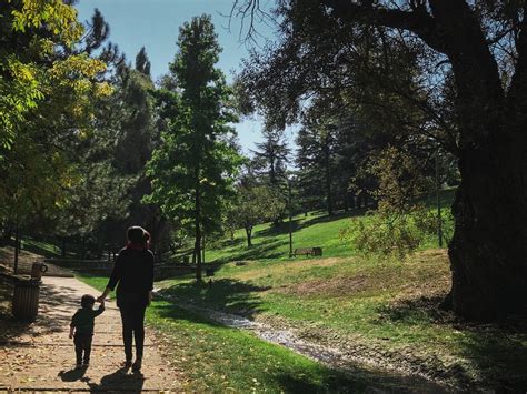 The days are long, the kids are raging, and the toilet paper's running low— . Parenting During a Pandemic: What I Want My Kids to ...